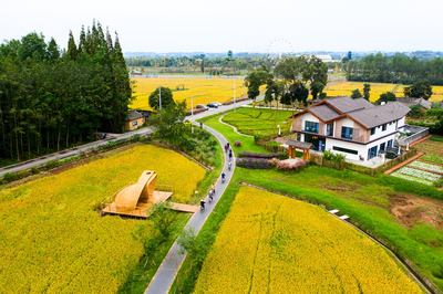 文旅赋能,助力慈善--华侨城亮相“云上”第九届慈展会